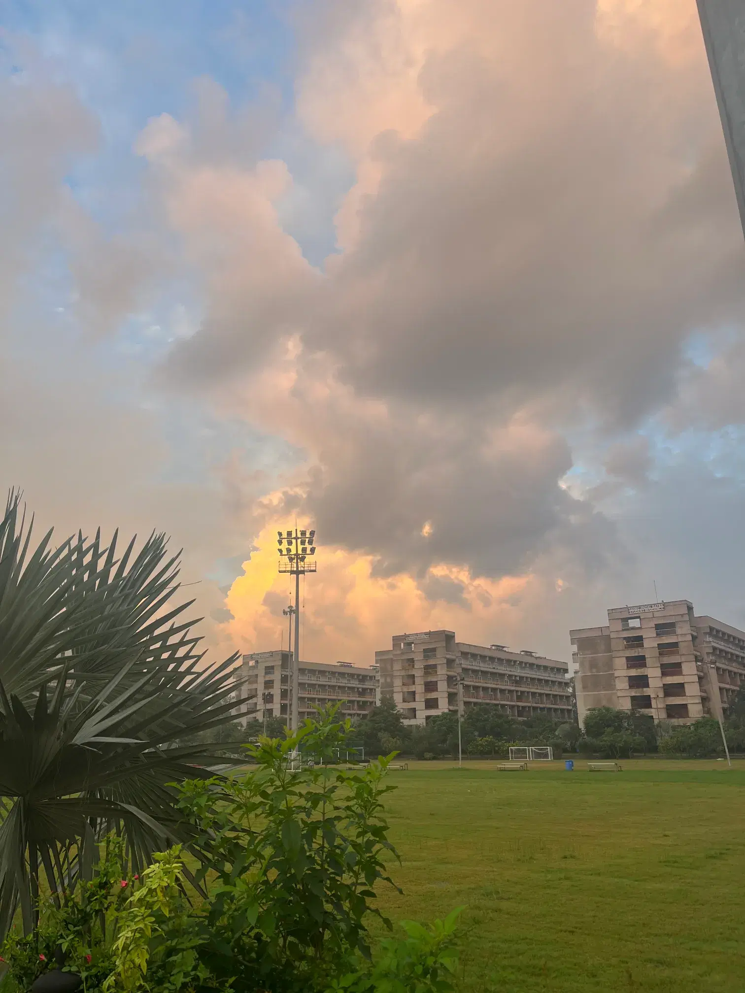 O.P. Jindal Global University Play Ground photo 1